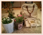 COmplementos Liebeskind Setlan Moda